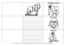 Flip-Flap-Gorilla-1.pdf
